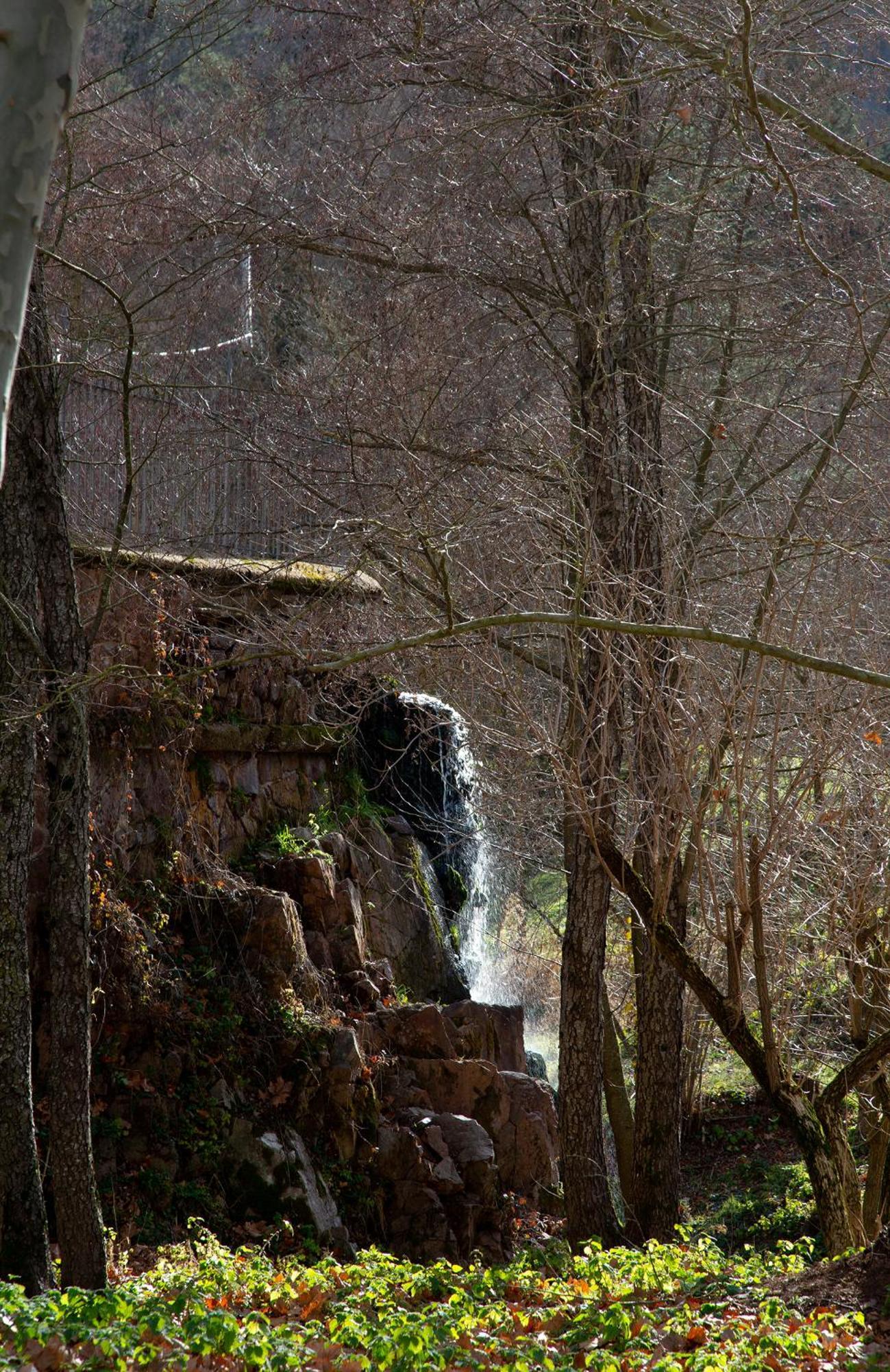 Casa Fabregas - Benestar Natural Viladrau Exteriér fotografie